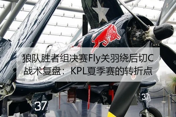 狼队胜者组决赛Fly关羽绕后切C战术复盘：KPL夏季赛的转折点